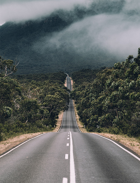 Straße, die durch grüne Wälder Australiens führt