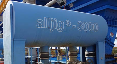 Detailed view of an alljig plant